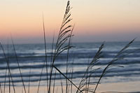 Walker Condos on New Smyrna Beach