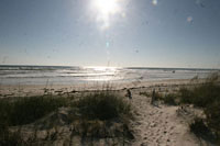 Walker Condos on New Smyrna Beach