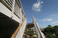Walker Condos on New Smyrna Beach